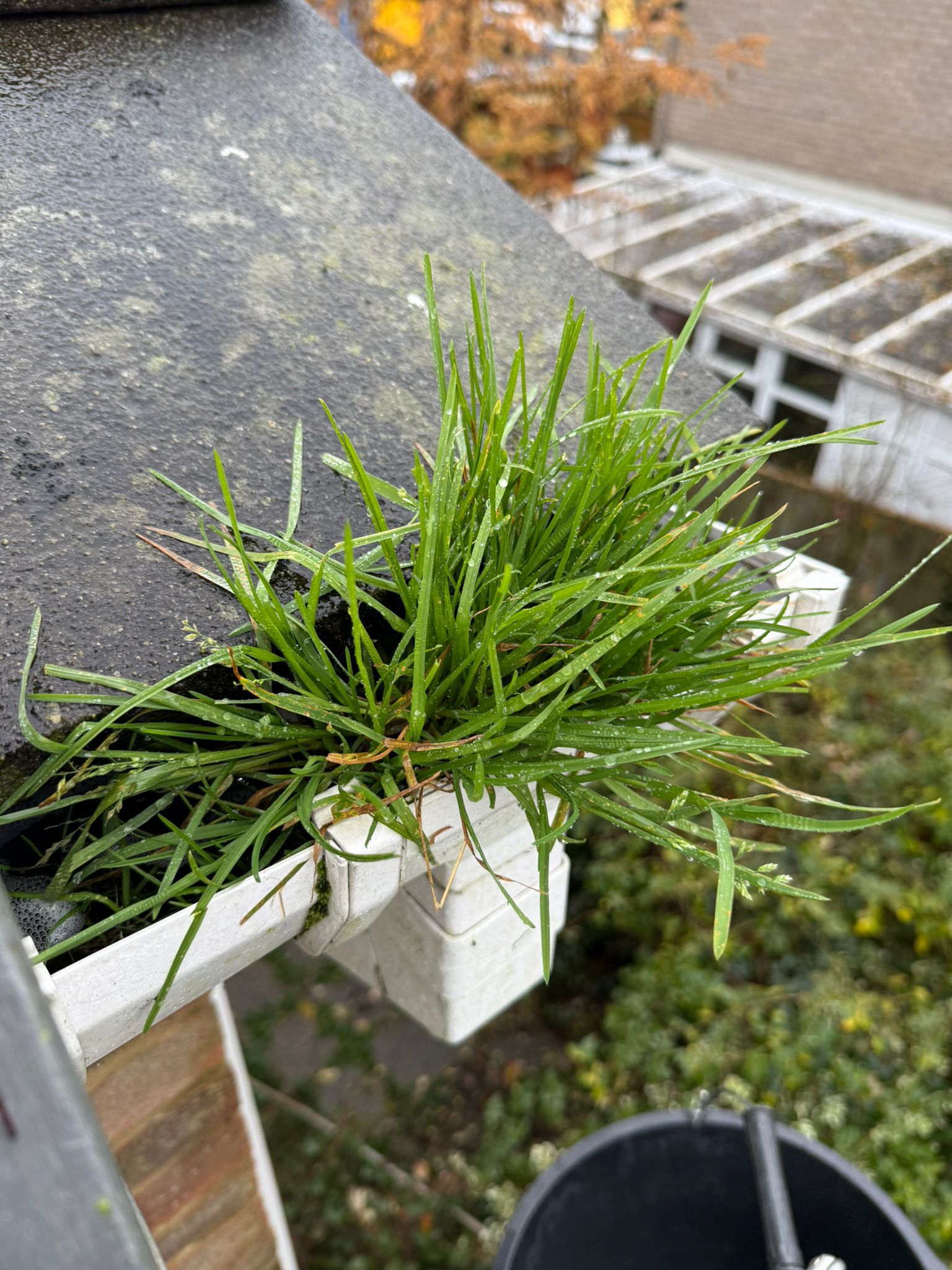 Blocked gutter downpipe in Buckingham